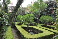 Casa en San Miguel de Allende - Casa Hyder