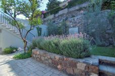 House in San Miguel de Allende - Casa Agave